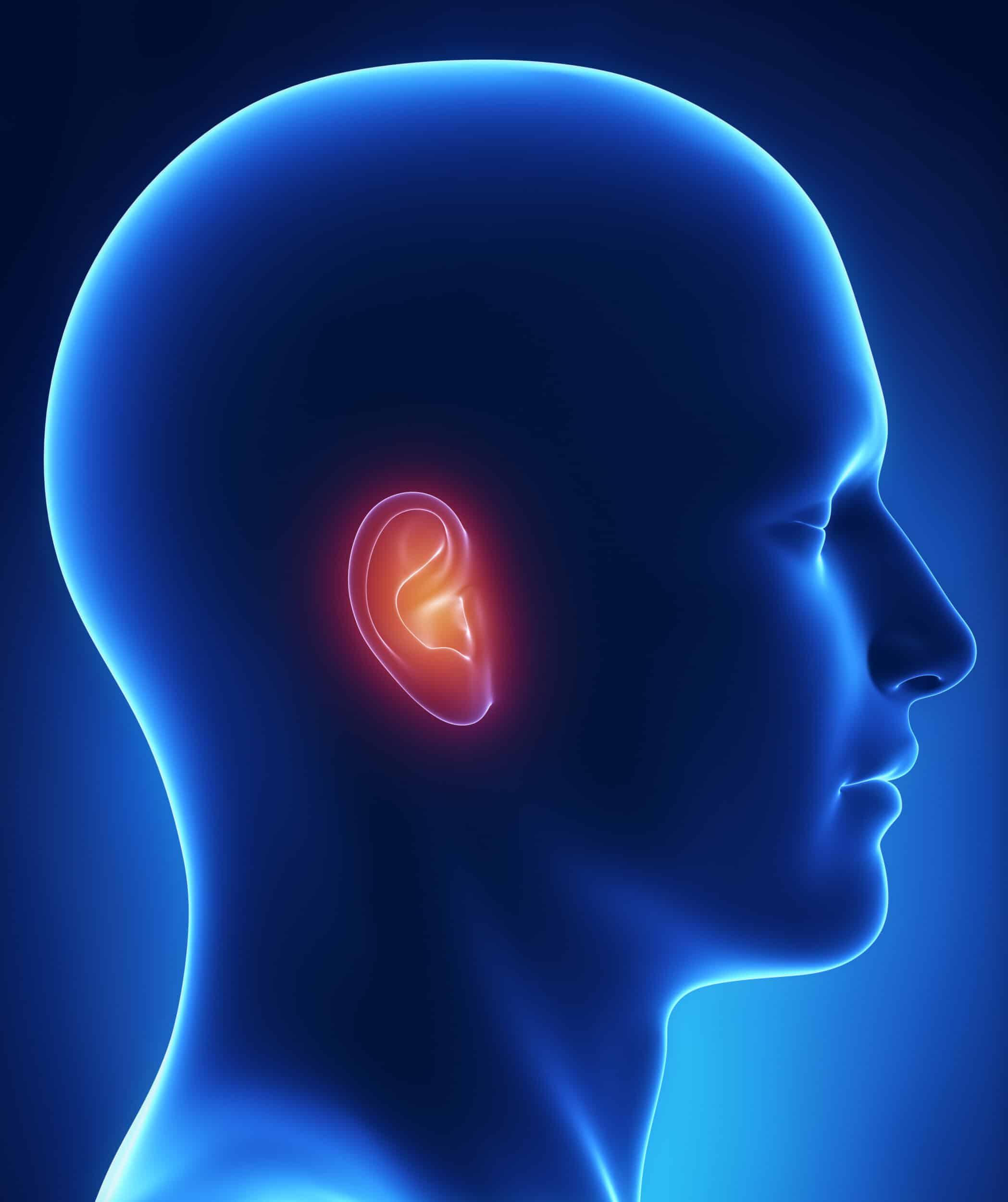 Ear