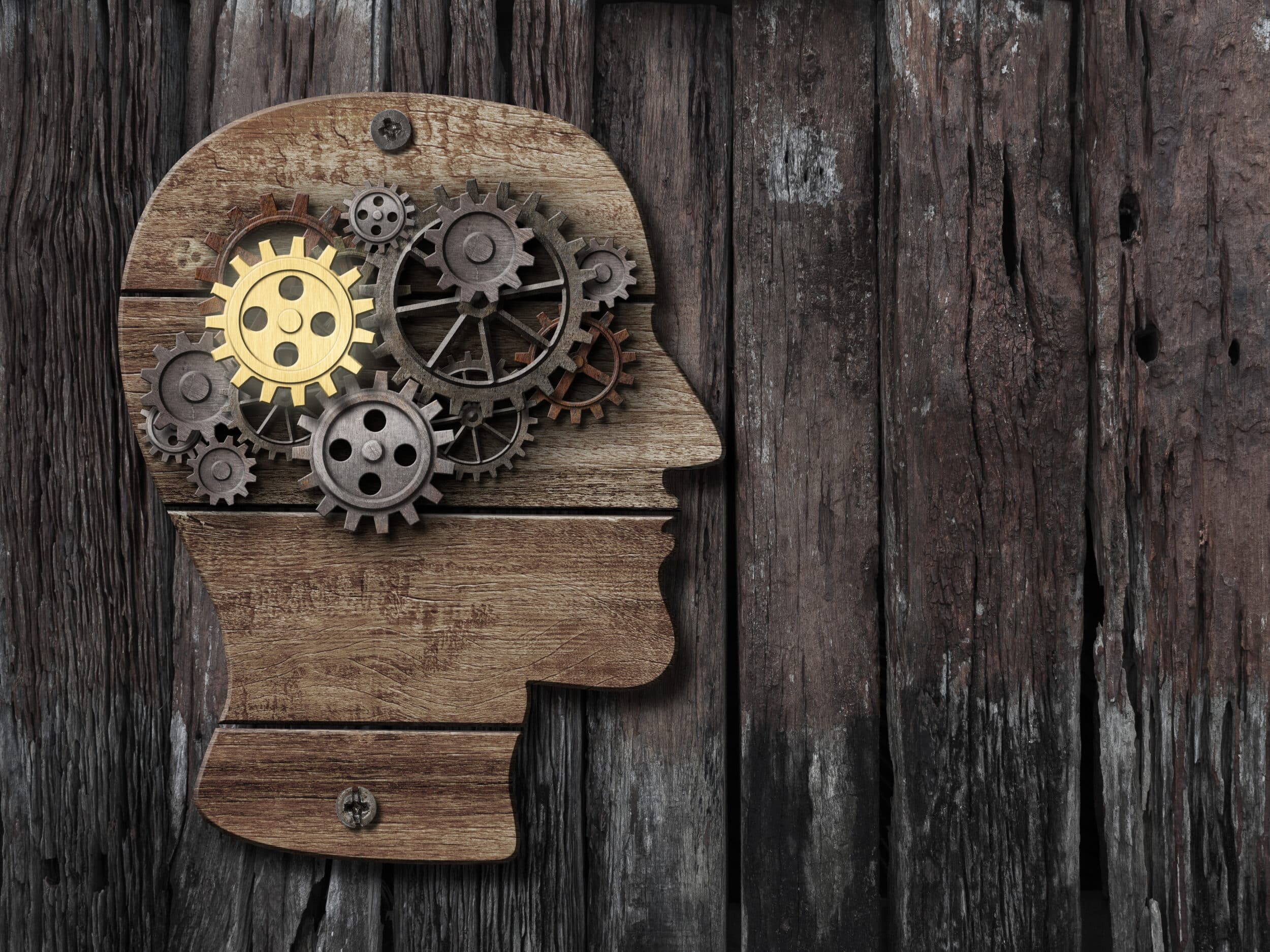 brain activity