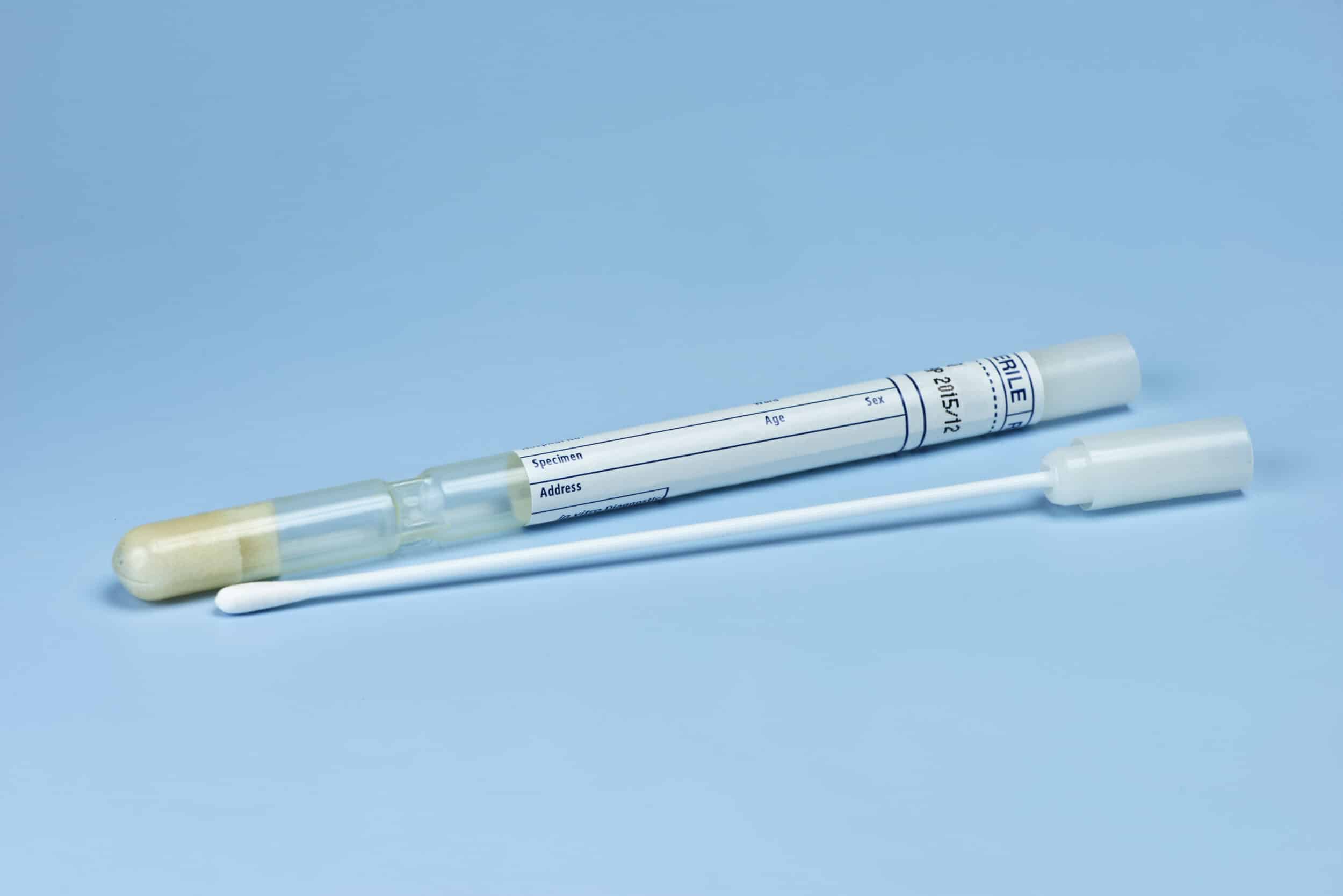 Culture swab prepared for laboratory testing
